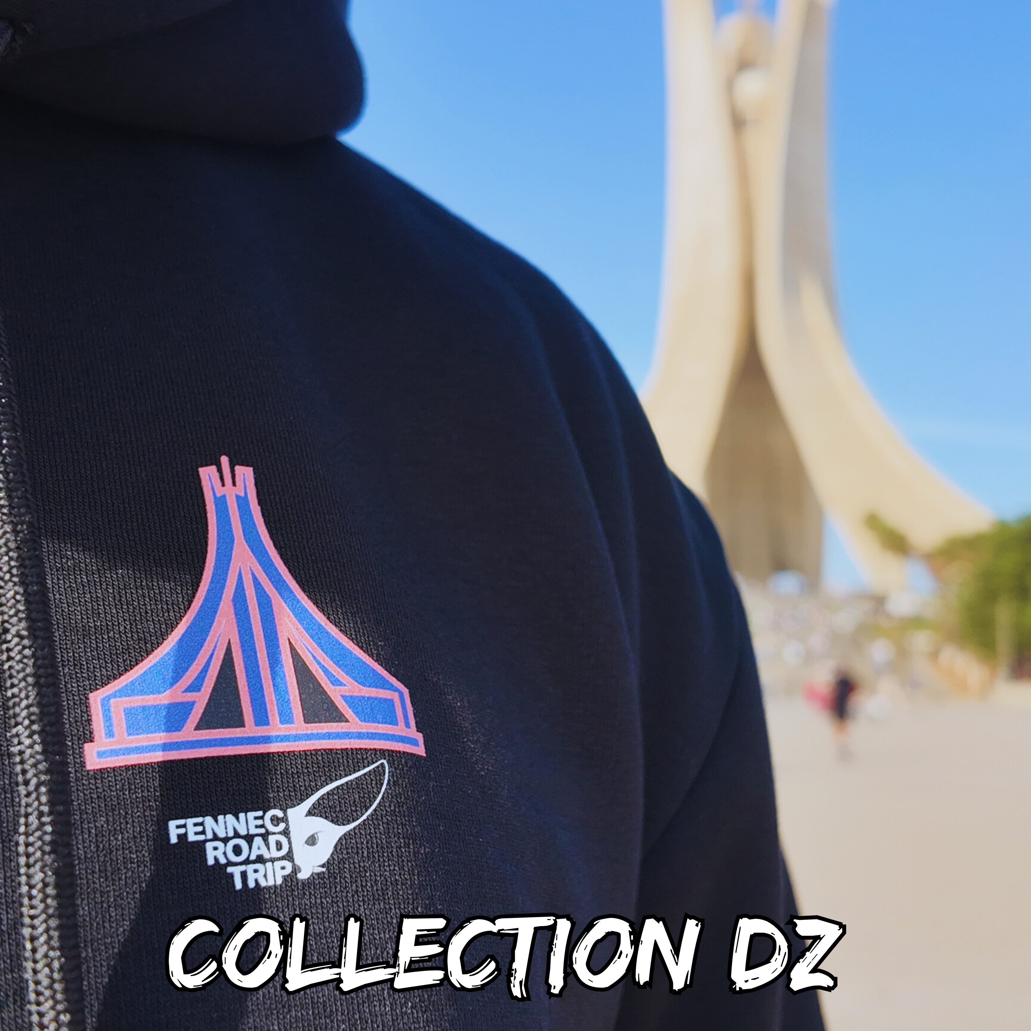 COLLECTION DZ