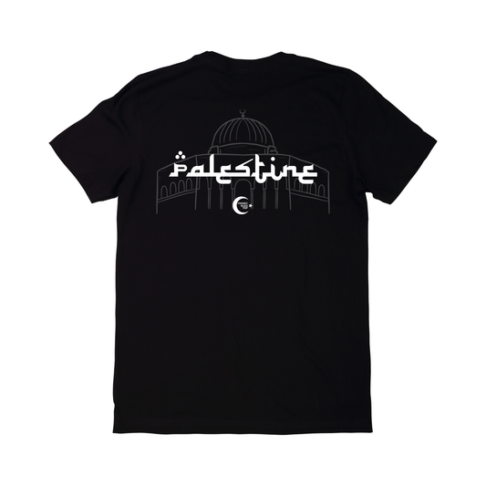 Palestine 13