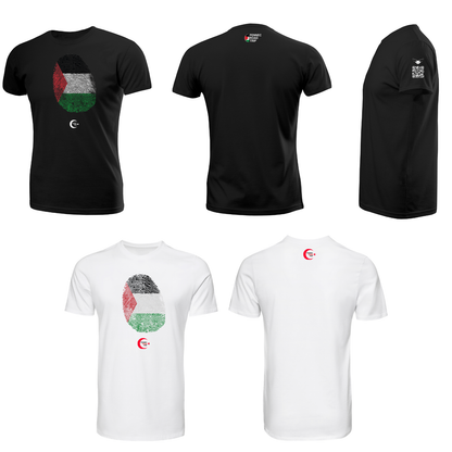 Palestine 6